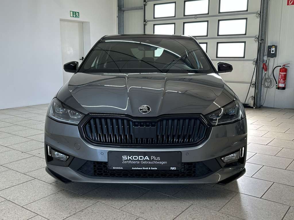 Fahrzeugbild eines Skoda Fabia