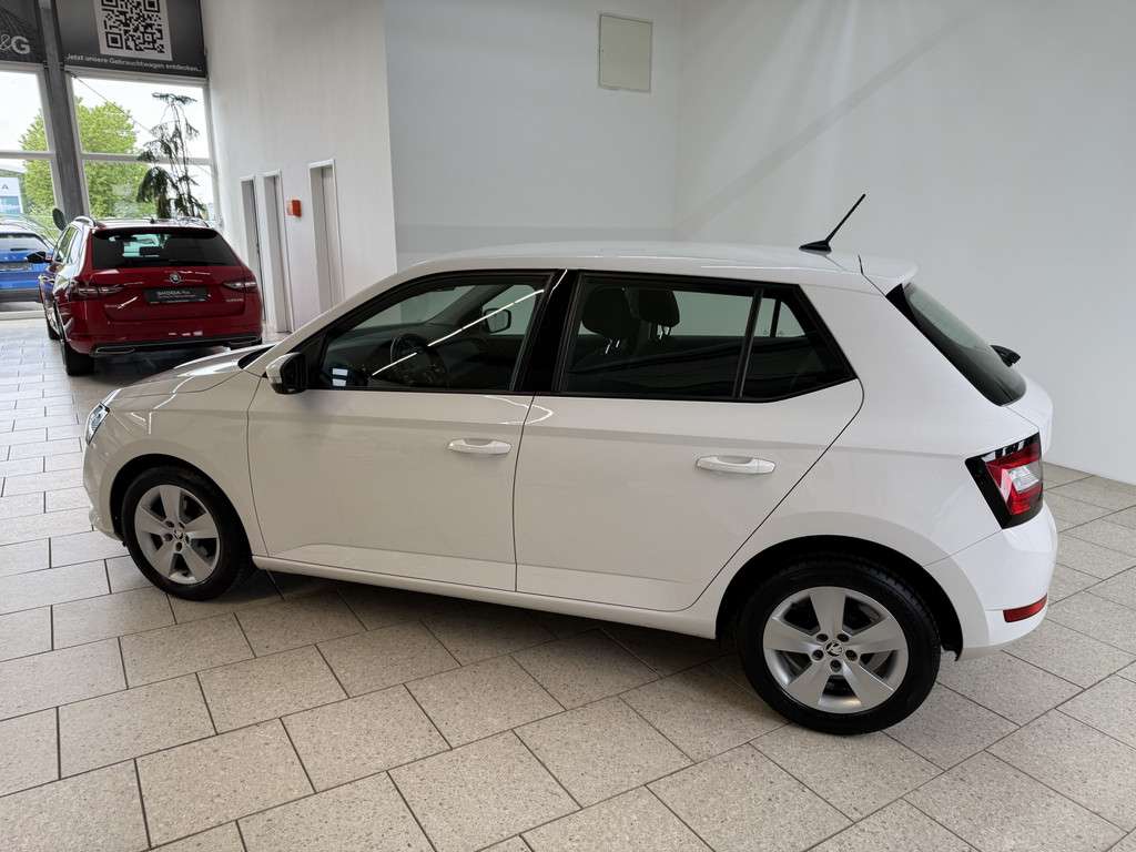 Fahrzeugbild eines Skoda Fabia
