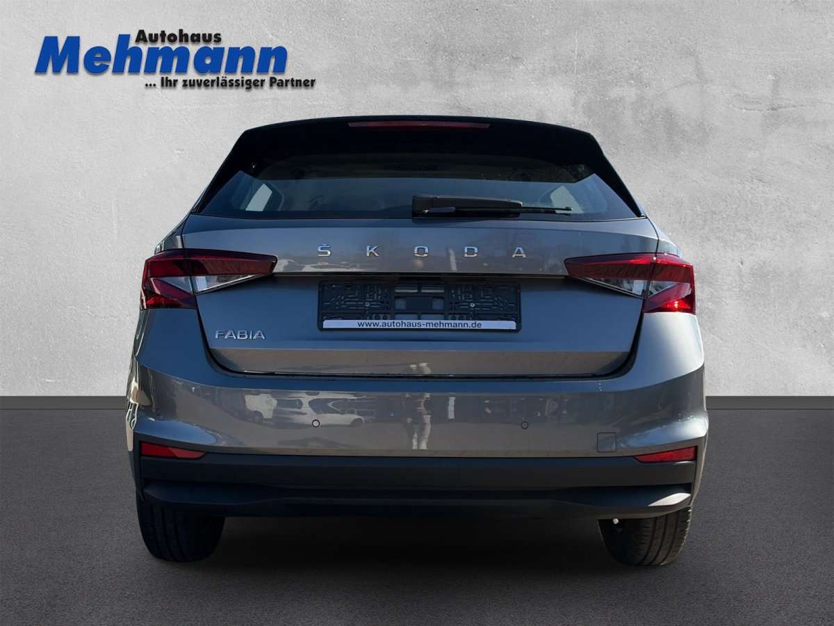 Fahrzeugbild eines Skoda Fabia