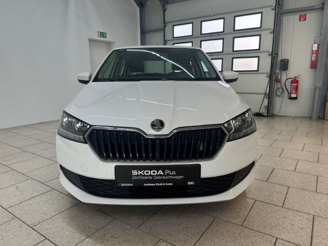 Fahrzeugbild eines Skoda Fabia