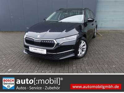 Bild Skoda Octavia