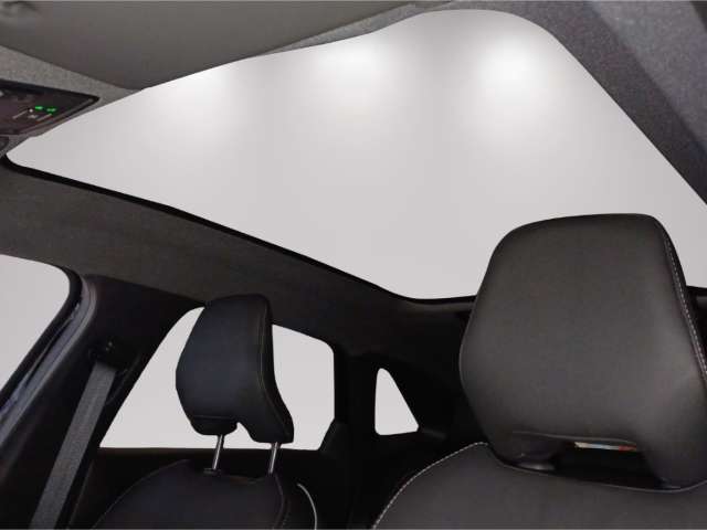 Fahrzeugbild eines Mitsubishi Grandis