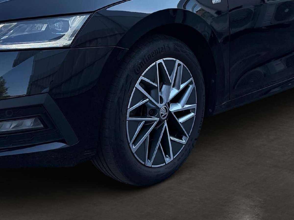 Fahrzeugbild eines Skoda Octavia