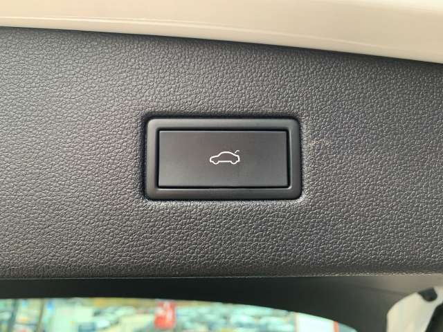 Fahrzeugbild eines SEAT Tarraco