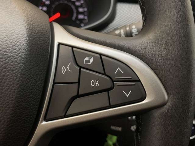 Fahrzeugbild eines Dacia Jogger