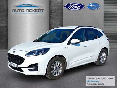 Bild Ford Kuga