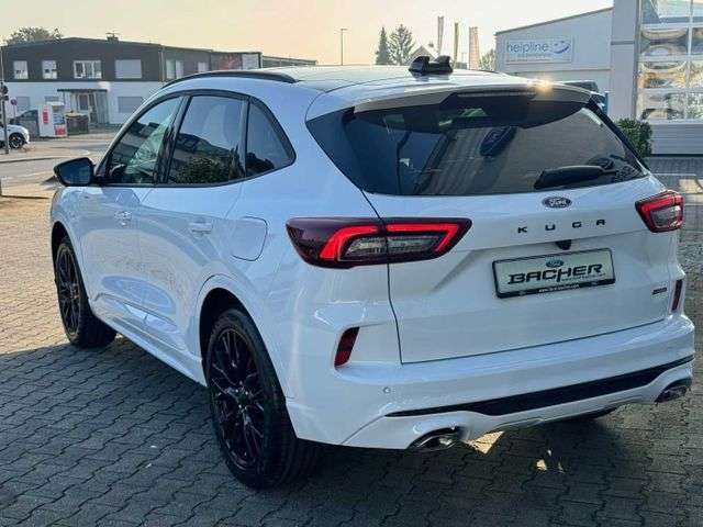 Fahrzeugbild eines Ford Kuga