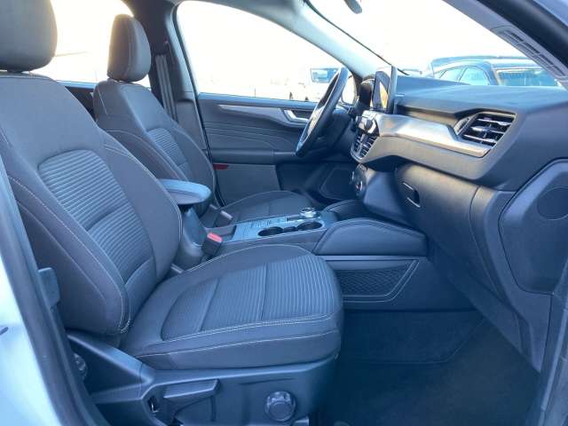 Fahrzeugbild eines Ford Kuga