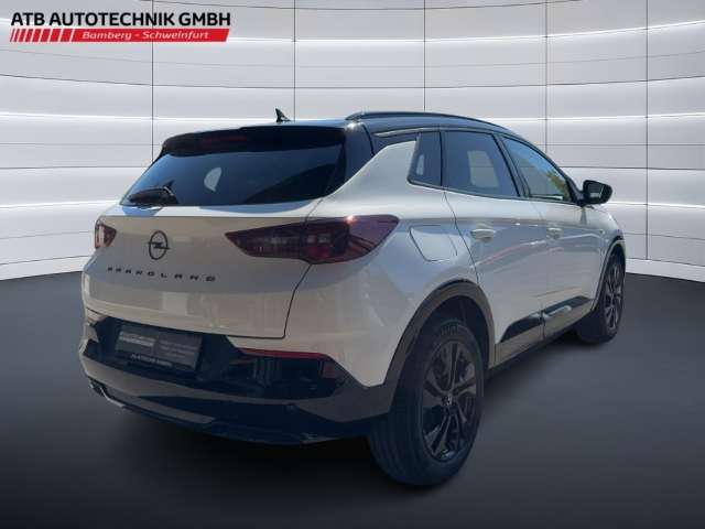 Fahrzeugbild eines Opel Grandland X