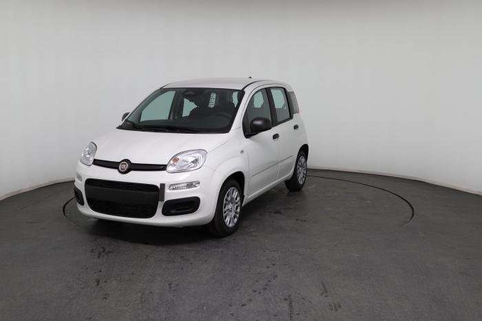 Fahrzeugbild eines Fiat Panda