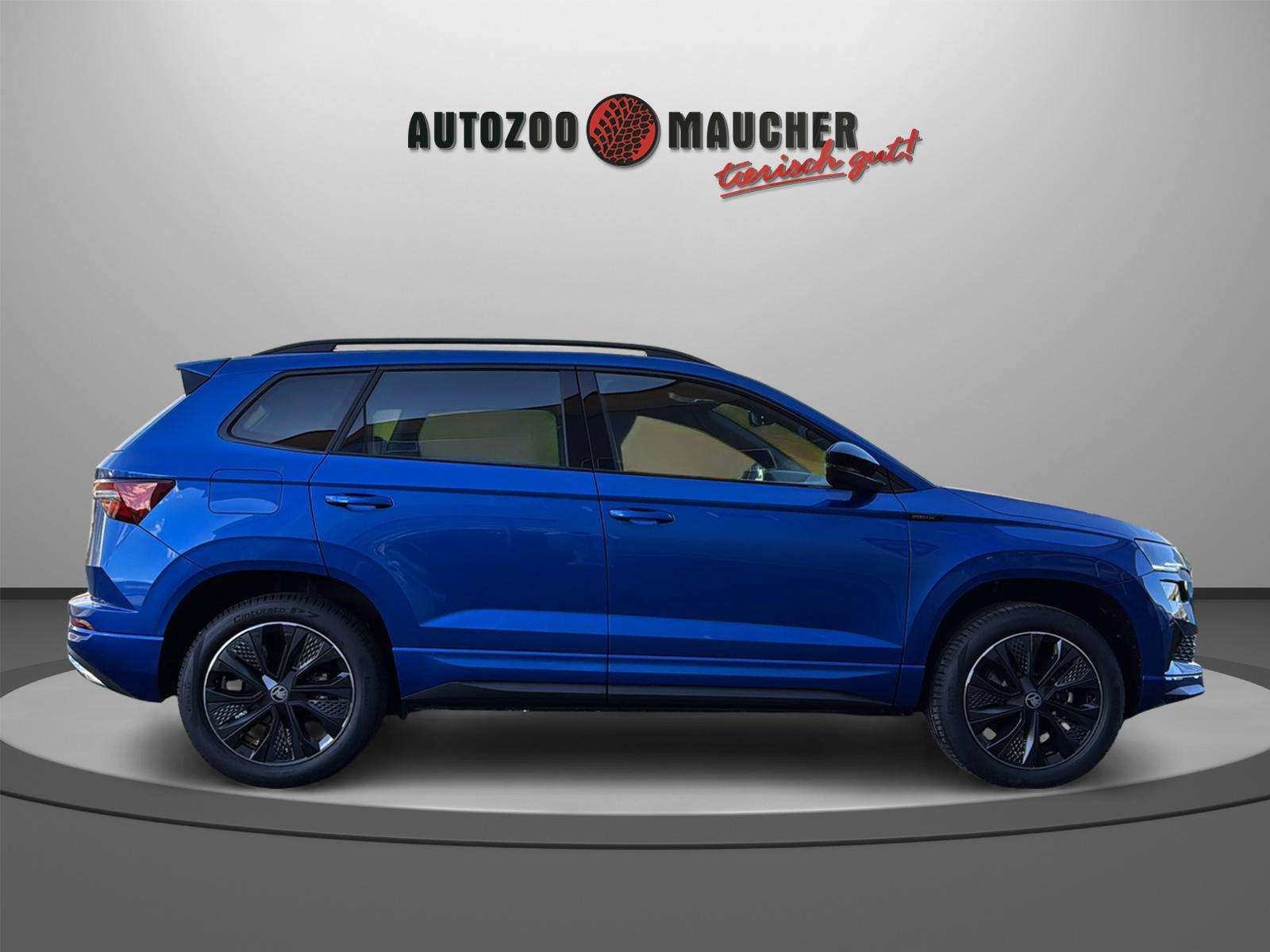 Fahrzeugbild eines Skoda Karoq