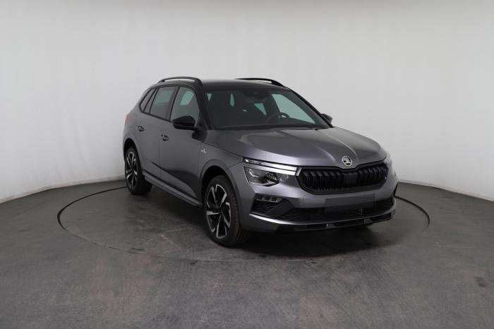 Fahrzeugbild eines Skoda Kamiq