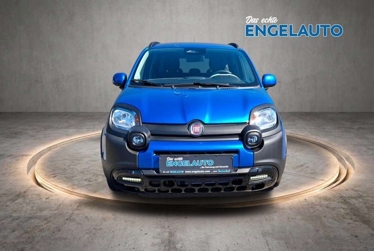 Fahrzeugbild eines Fiat Panda