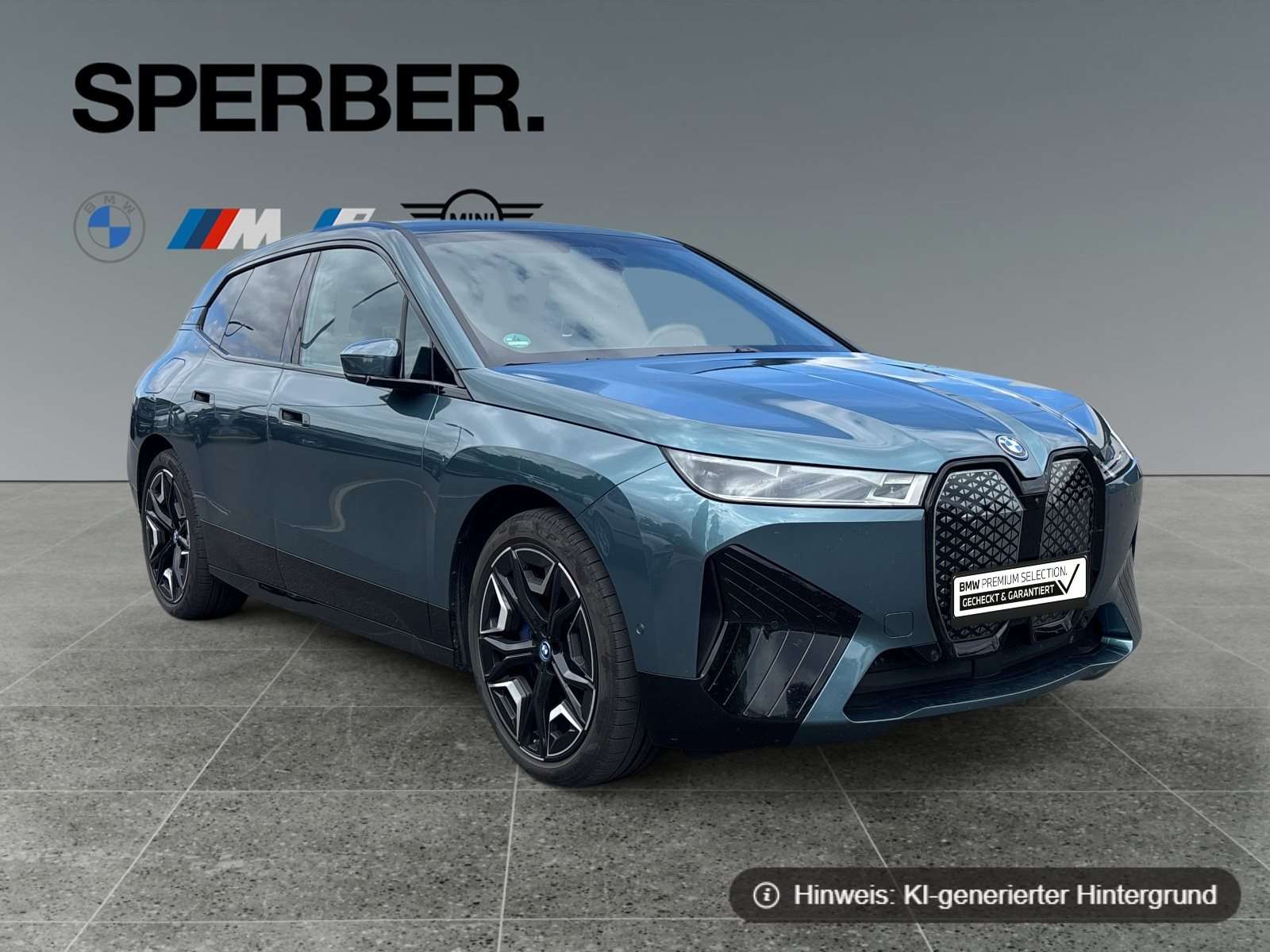 Fahrzeugbild eines BMW iX