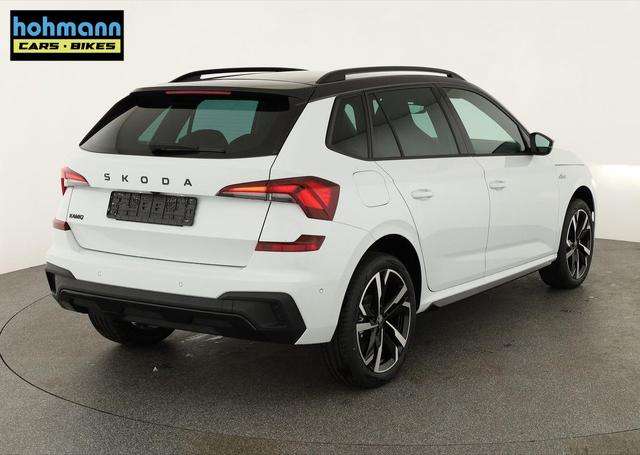 Fahrzeugbild eines Skoda Kamiq