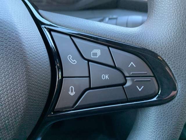 Fahrzeugbild eines Renault Master