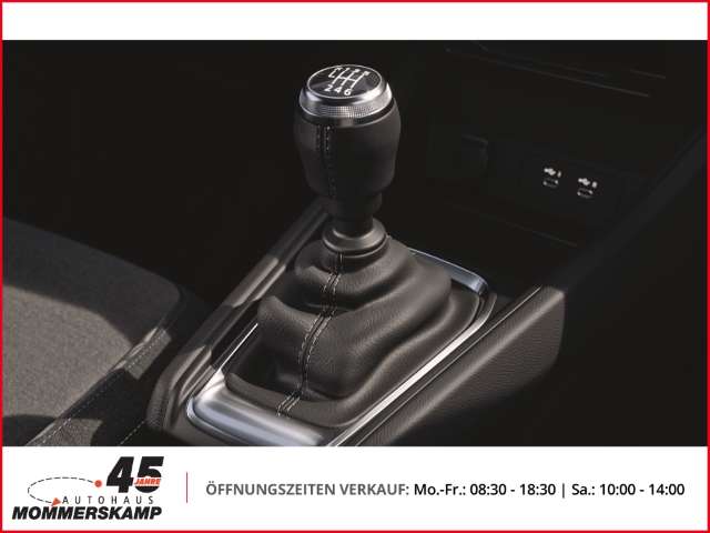 Fahrzeugbild eines Mitsubishi Grandis