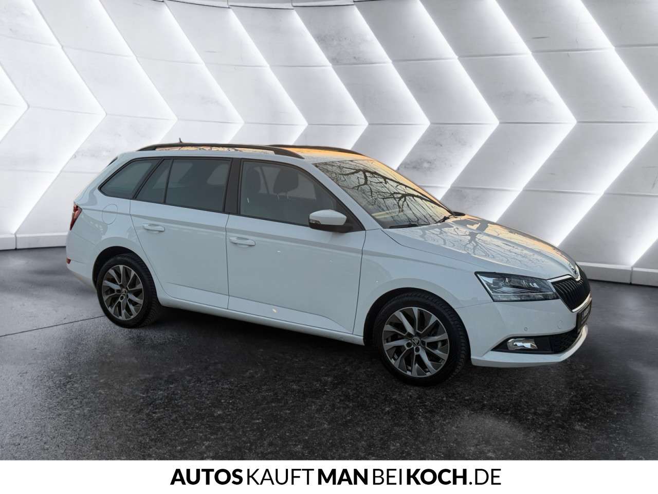 Fahrzeugbild eines Skoda Fabia