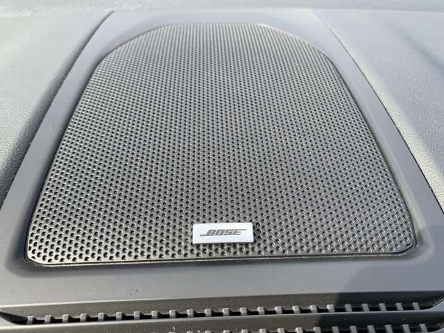 Fahrzeugbild eines Renault Koleos