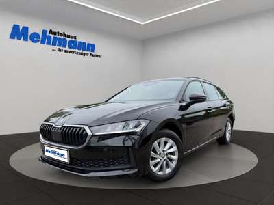 Bild Skoda Superb