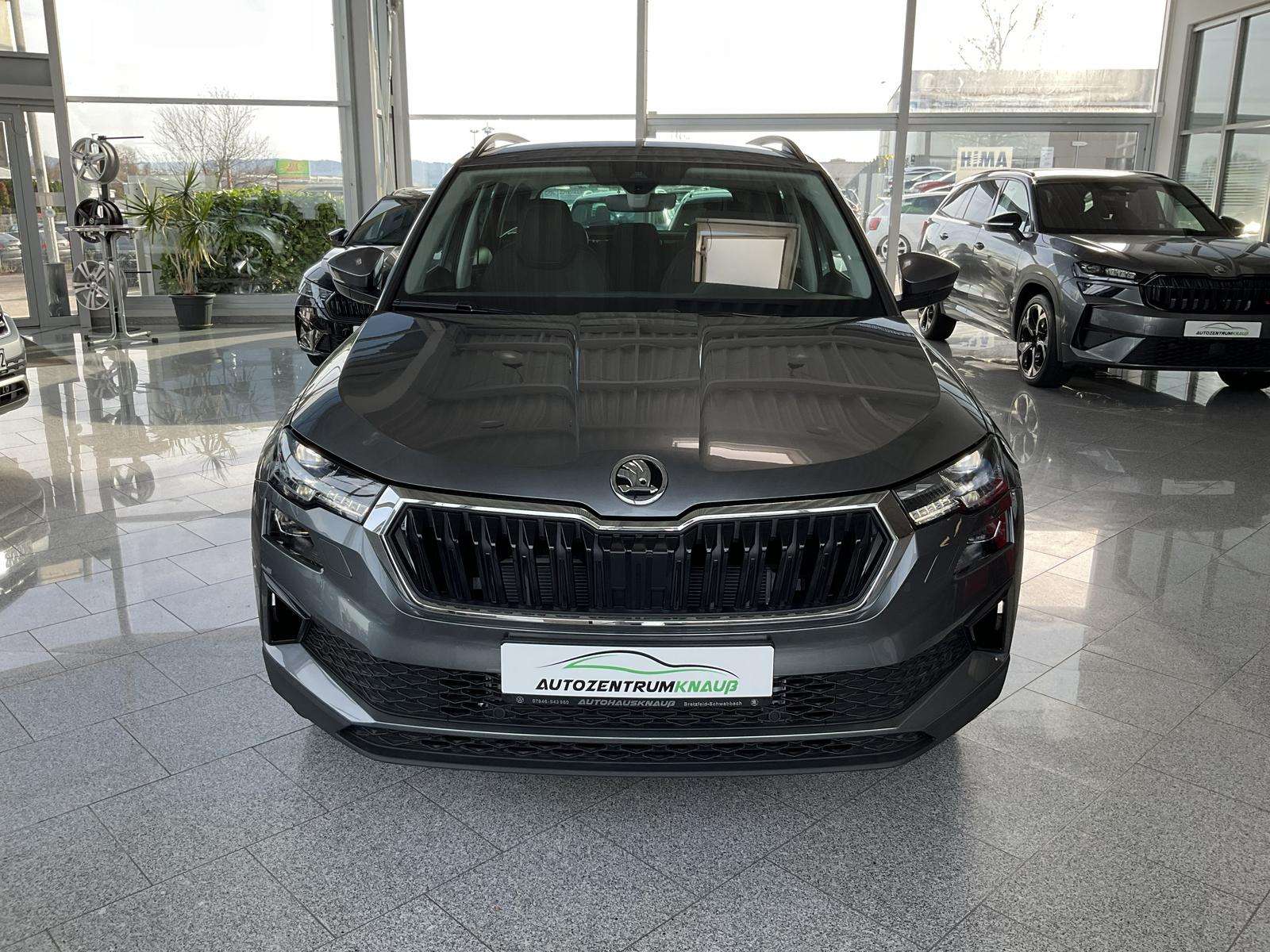 Fahrzeugbild eines Skoda Karoq