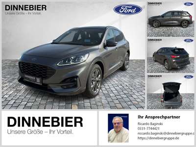 Bild Ford Kuga