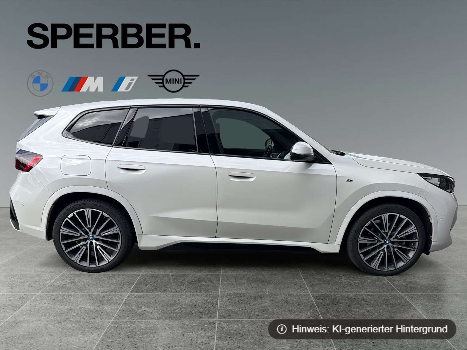 Fahrzeugbild eines BMW iX1