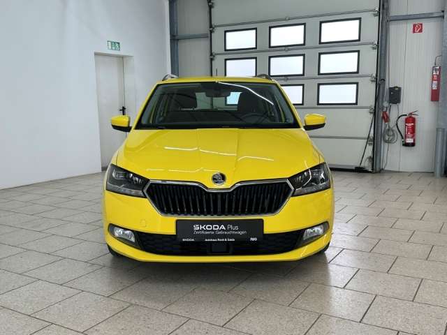 Fahrzeugbild eines Skoda Fabia