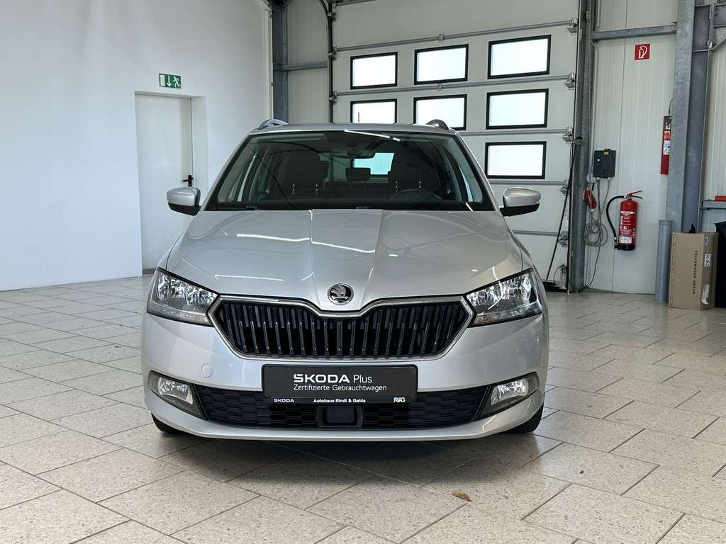 Fahrzeugbild eines Skoda Fabia