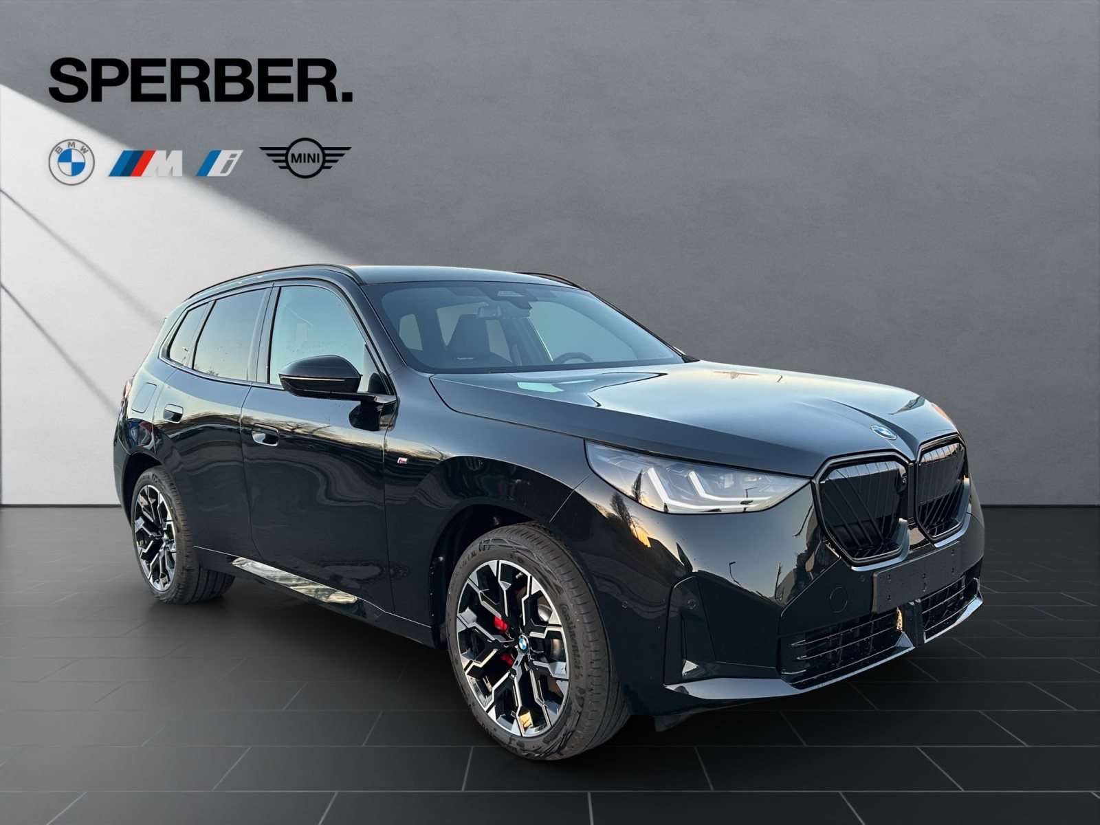 Fahrzeugbild eines BMW X3