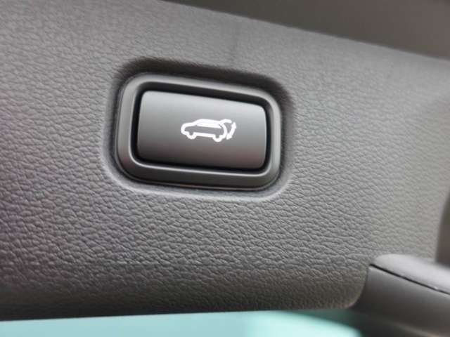 Fahrzeugbild eines Kia Sportage