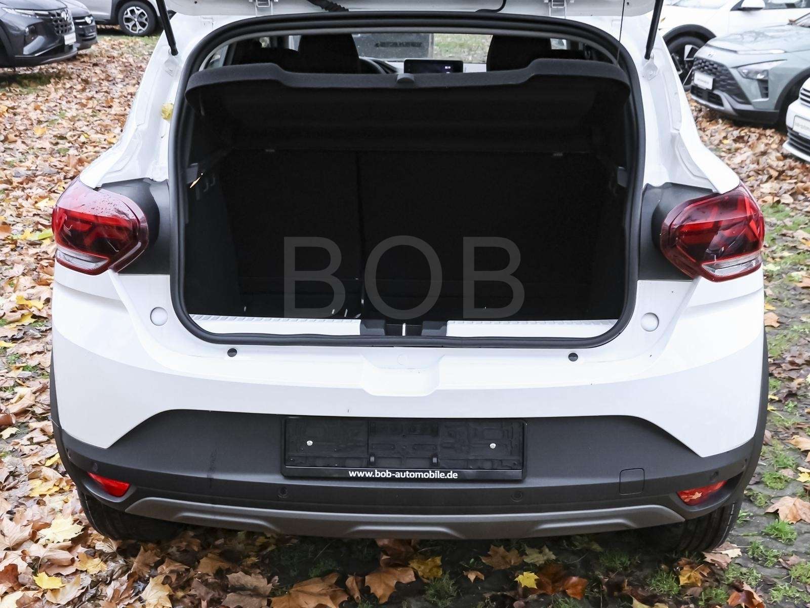 Fahrzeugbild eines Dacia Sandero