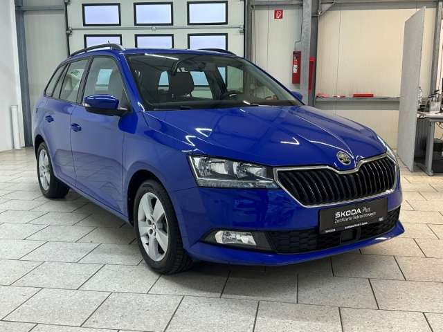 Fahrzeugbild eines Skoda Fabia