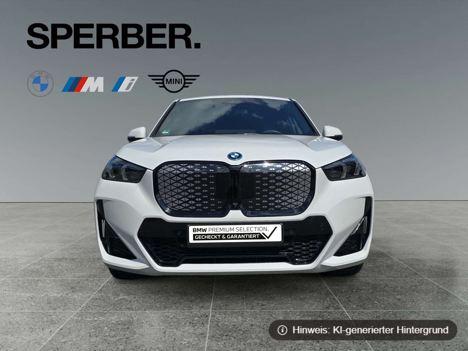 Fahrzeugbild eines BMW iX1