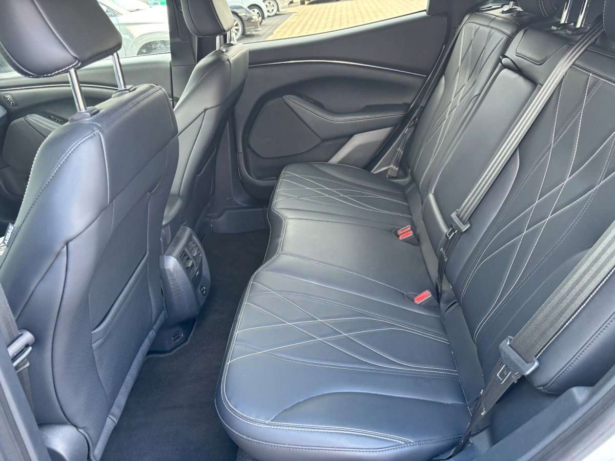 Fahrzeugbild eines Ford Mustang Mach-E