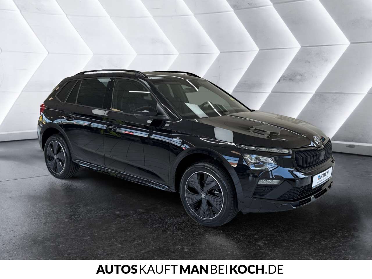 Fahrzeugbild eines Skoda Kamiq