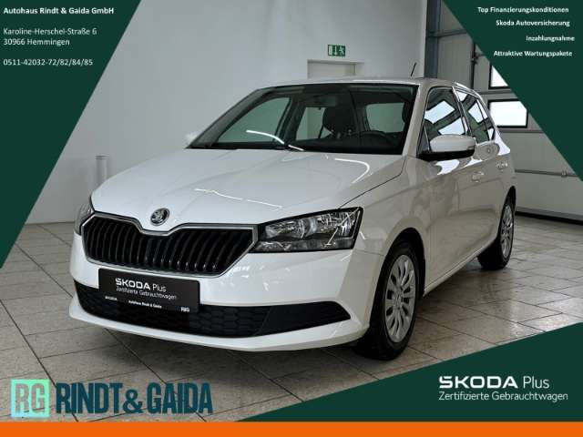 Fahrzeugbild eines Skoda Fabia