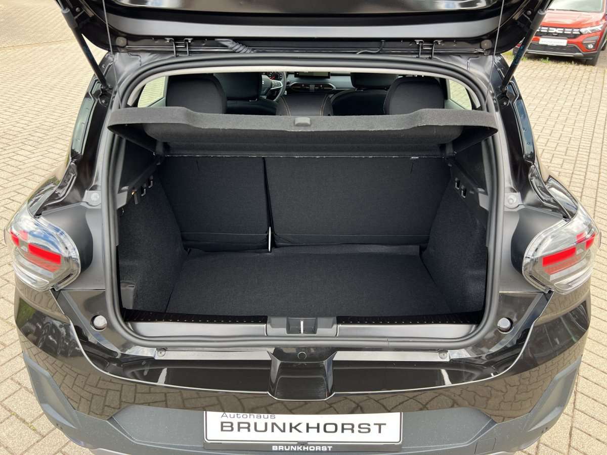 Fahrzeugbild eines Dacia Sandero