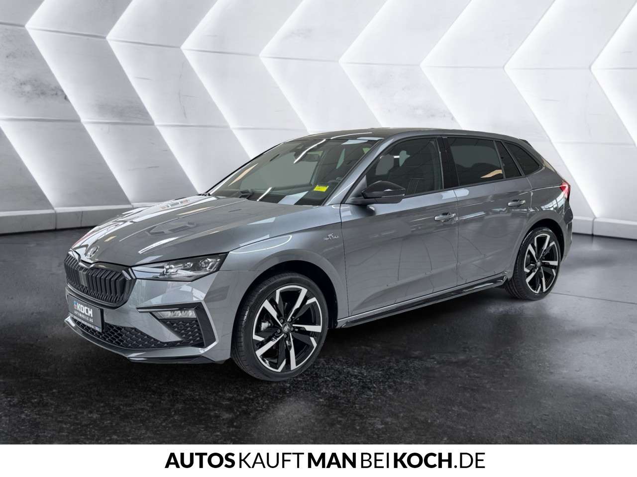 Fahrzeugbild eines Skoda Scala