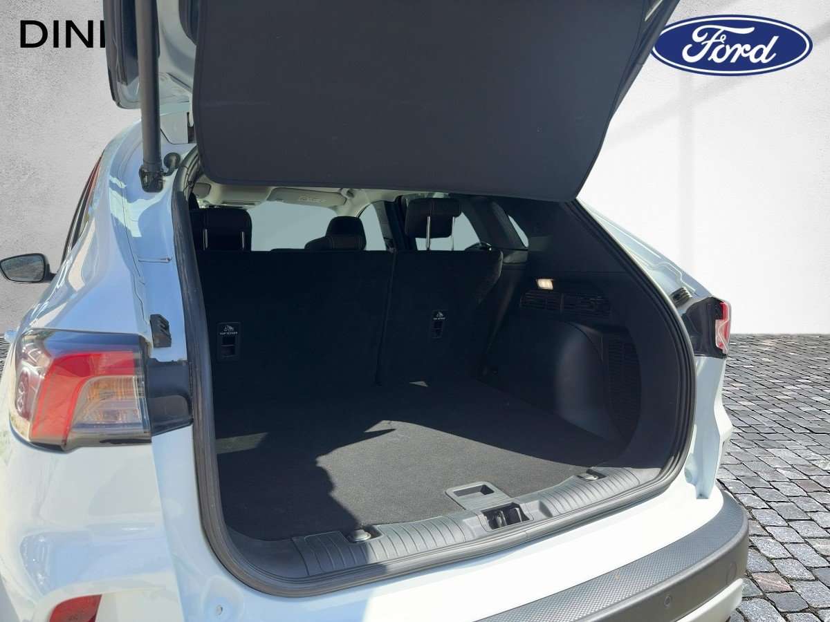 Fahrzeugbild eines Ford Kuga