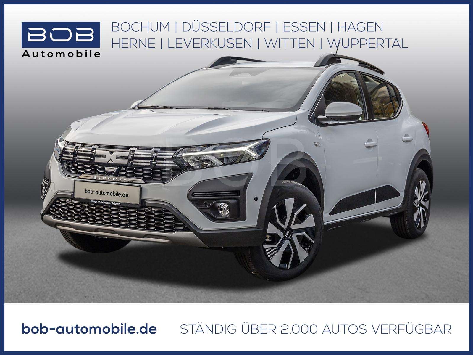 Fahrzeugbild eines Dacia Sandero