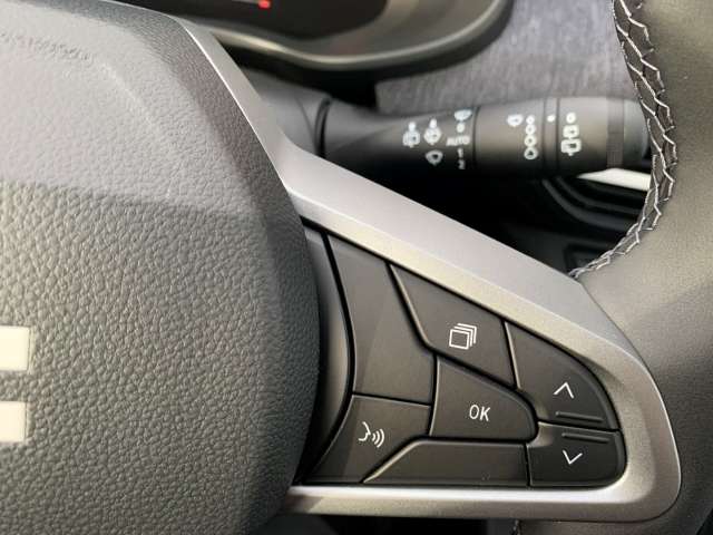 Fahrzeugbild eines Dacia Sandero