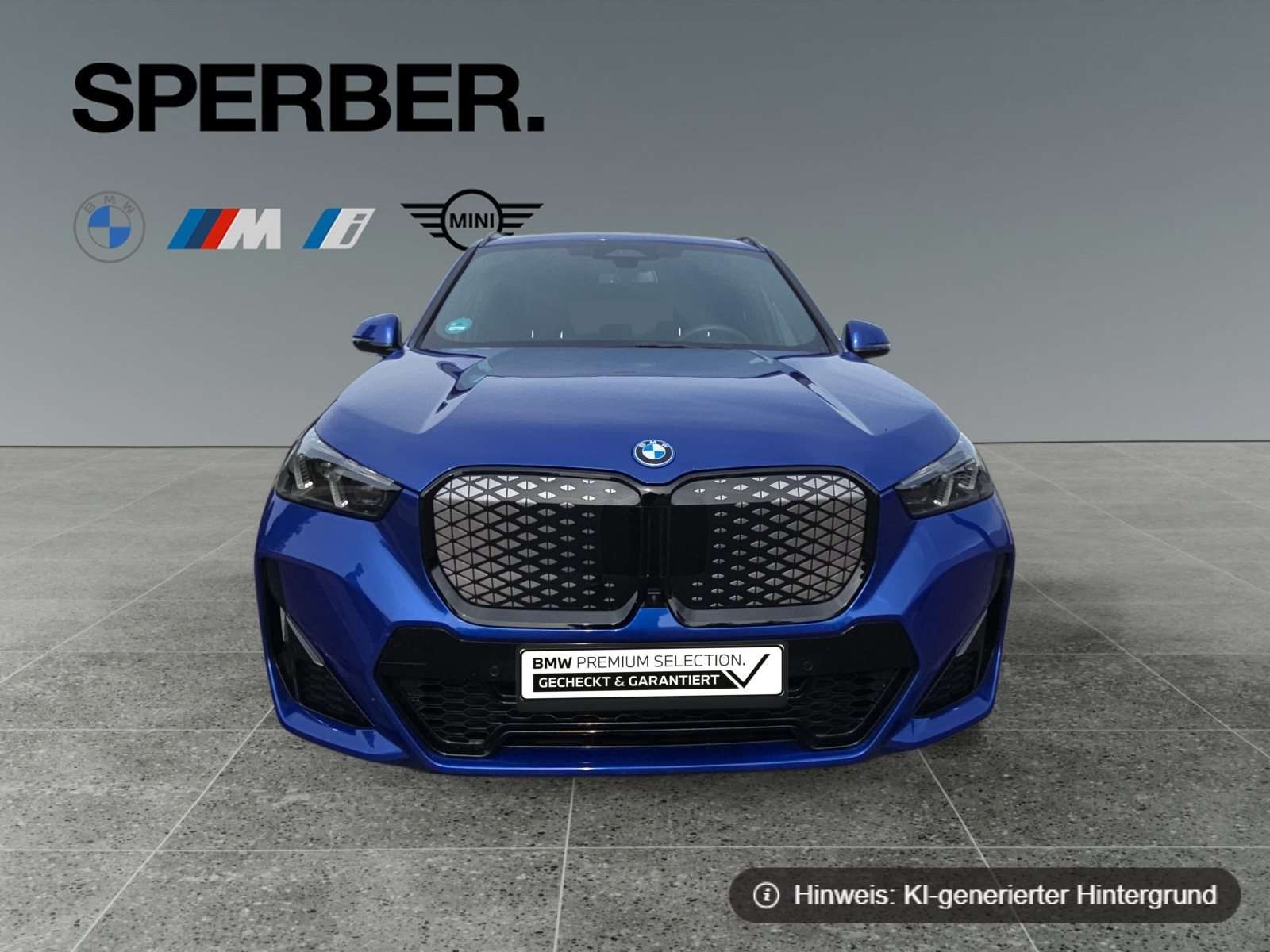Fahrzeugbild eines BMW iX1