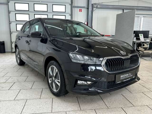 Fahrzeugbild eines Skoda Fabia