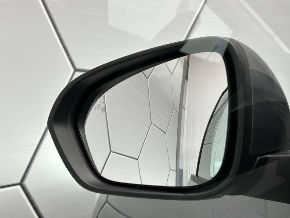 Fahrzeugbild eines Dacia Sandero