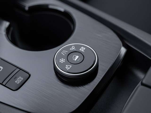 Fahrzeugbild eines Nissan X-TRAIL