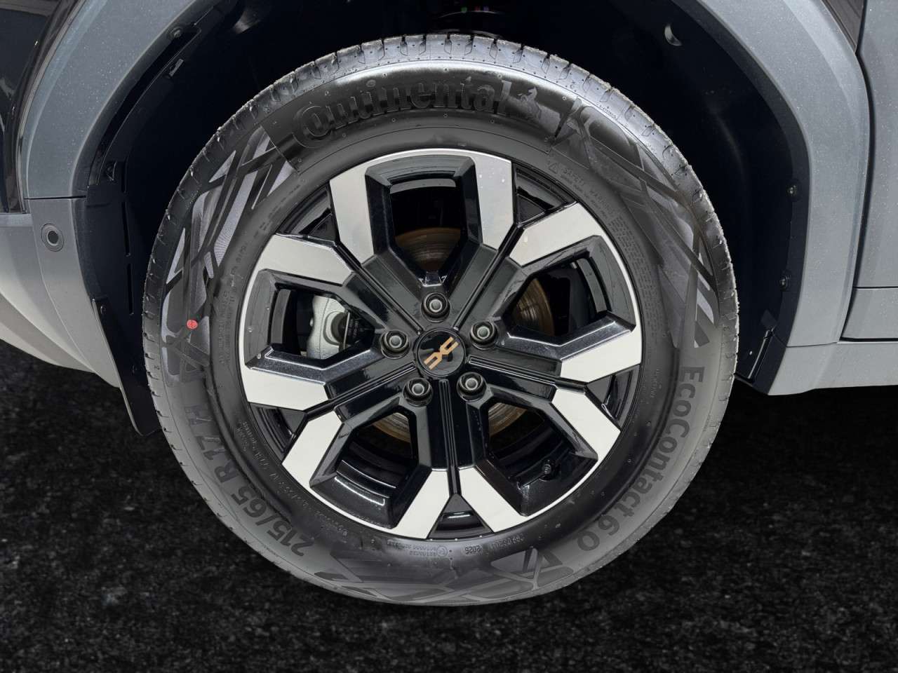 Fahrzeugbild eines Dacia Duster