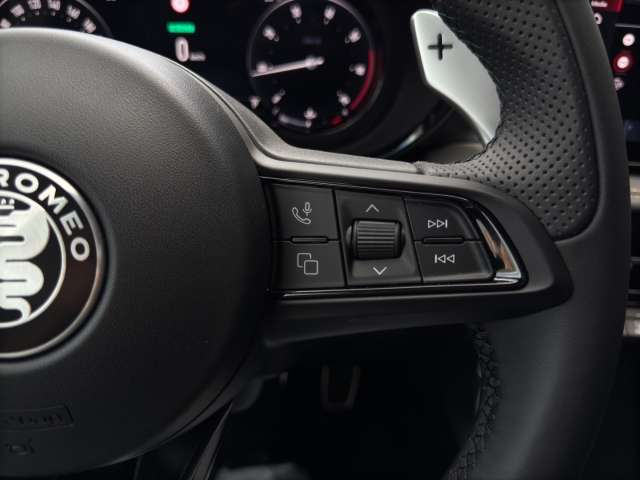 Fahrzeugbild eines Alfa Romeo Tonale