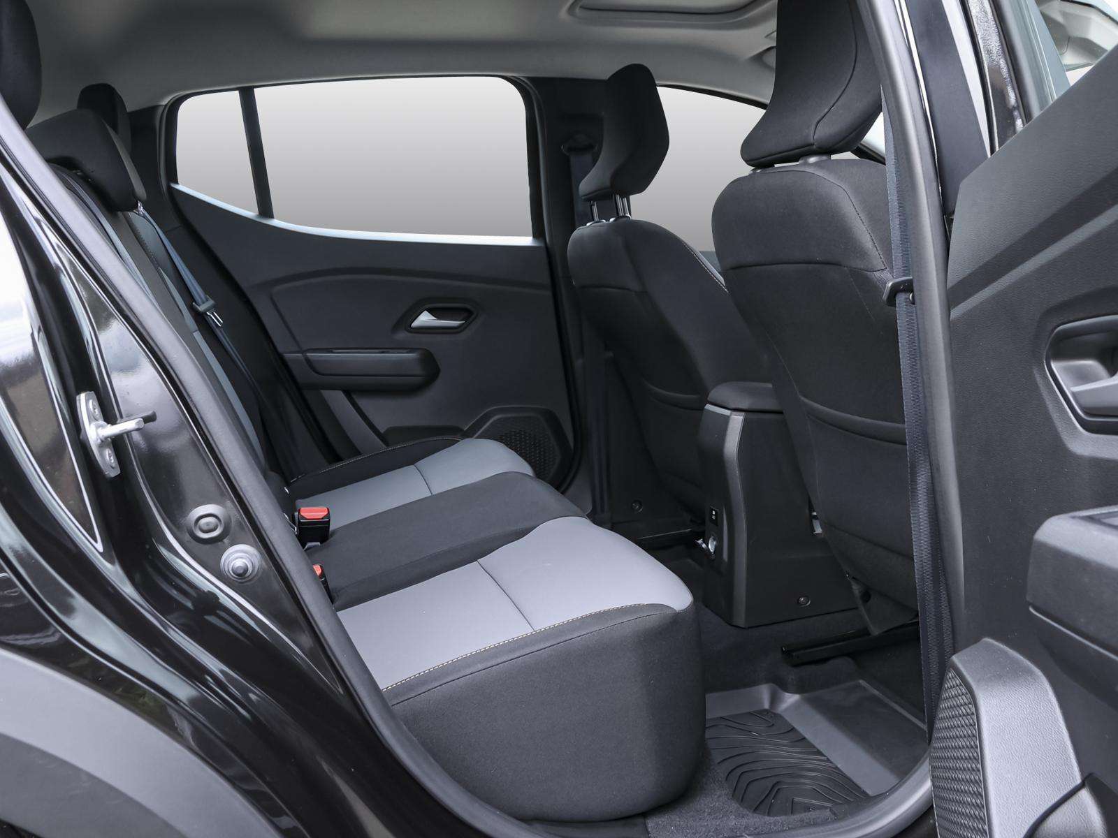Fahrzeugbild eines Dacia Sandero
