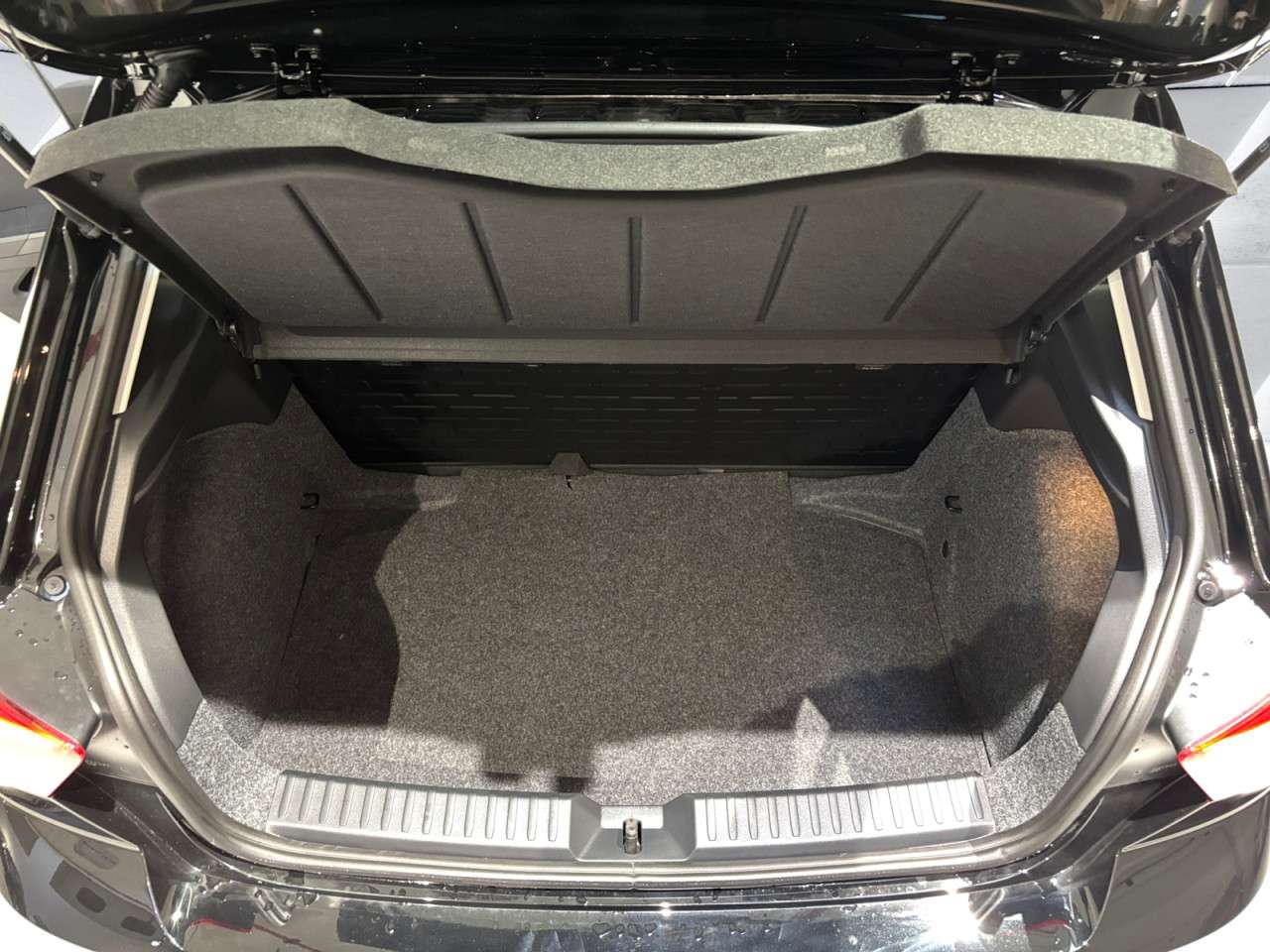 Fahrzeugbild eines SEAT Ibiza